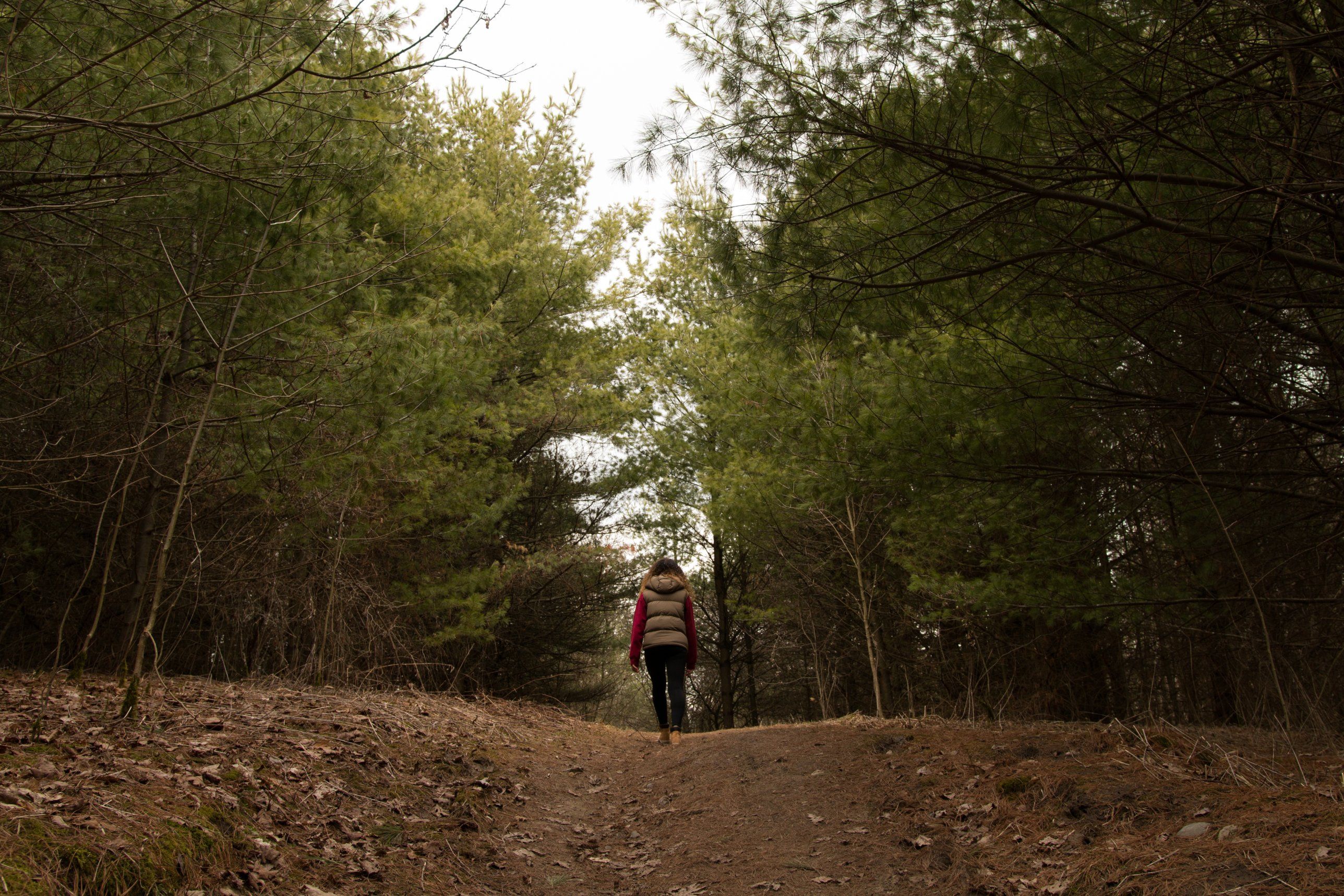 A woman in a red sweater and down vest walks alone up a needle-covered trail between tall pines.